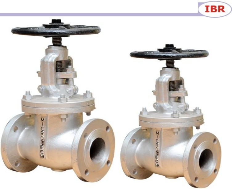 globe valve
